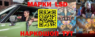 mdpv Кандалакша