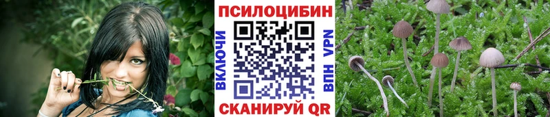 blacksprut   Мыски  Псилоцибиновые грибы ЛСД 