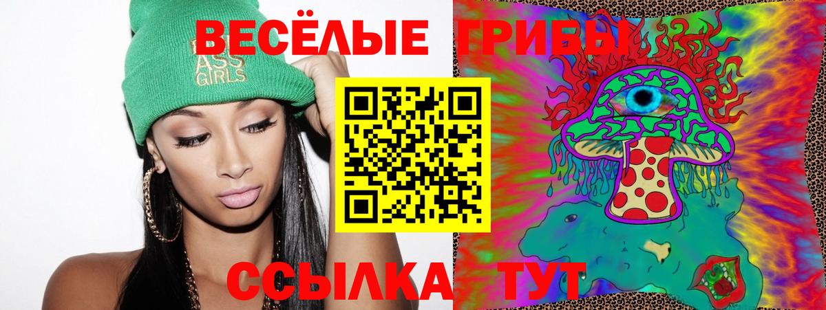 Галлюциногенные грибы GOLDEN TEACHER  Галлюциногенные грибы мухоморы  Мыски  Вход с VPN 