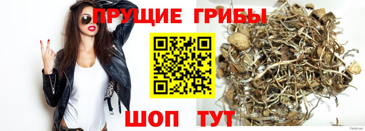 Псилоцибиновые грибы Magic Shrooms Мыски