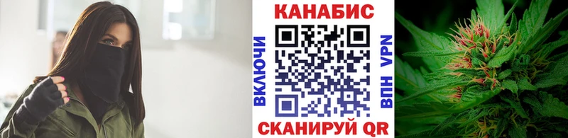 Каннабис план Мыски